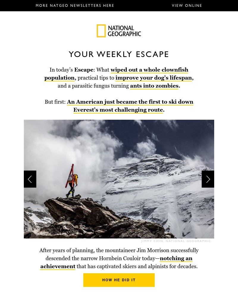 Screenshot of email with subject /media/emails/american-is-first-to-ski-everests-north-face-clownfish-safe-haven-destroyed-is-th_kqRouCr.jpg