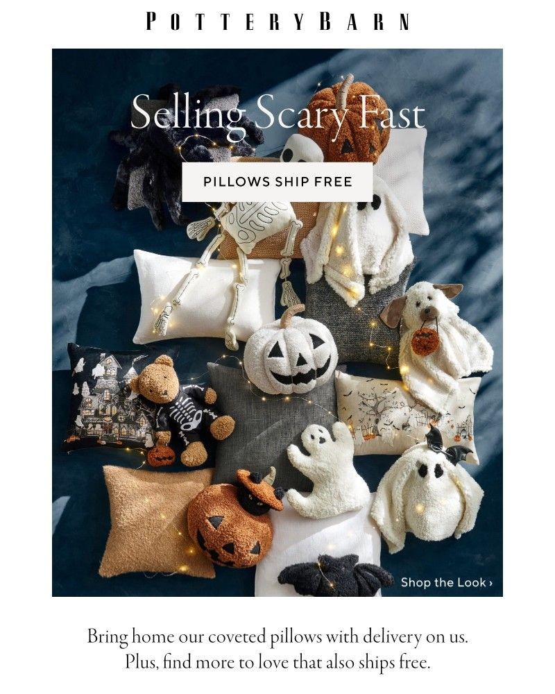 Screenshot of email with subject /media/emails/an-early-halloween-treat-free-ship-pillows-29c6eb-cropped-a0486218.jpg