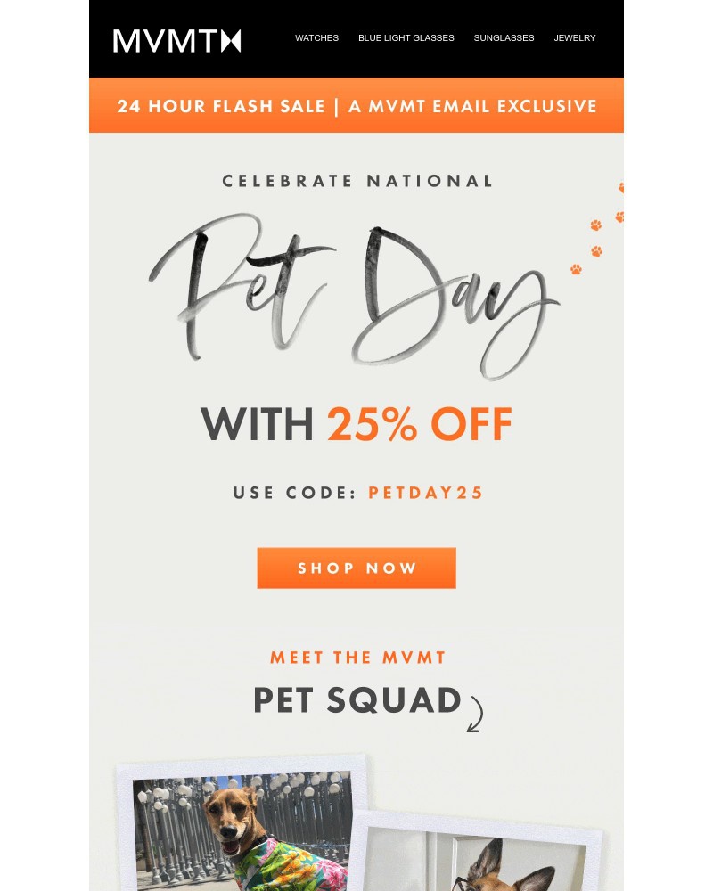 Screenshot of email with subject /media/emails/an-email-exclusive-flash-sale-577849-cropped-9f8c8e74.jpg