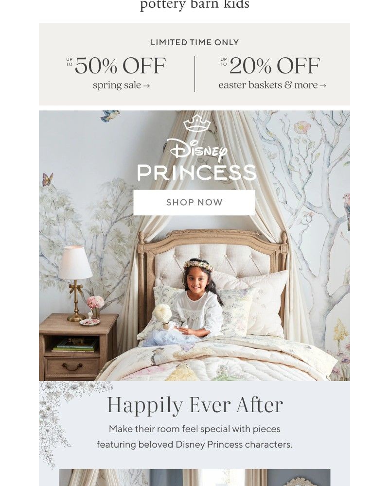 Screenshot of email with subject /media/emails/an-enchanting-collection-for-little-disney-fans-e9c988-cropped-428d1b4c.jpg