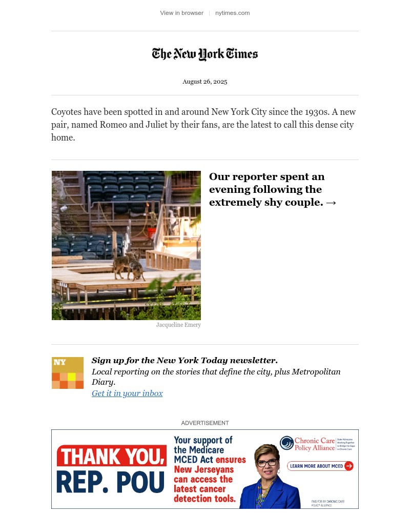 Screenshot of email with subject /media/emails/an-evening-with-the-central-park-coyotes-8abf36-cropped-dd6e191b.jpg
