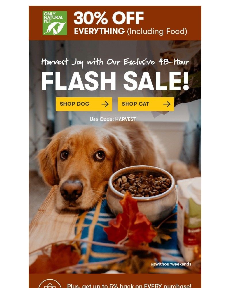 Screenshot of email sent to a Only Natural Pet Newsletter subscriber