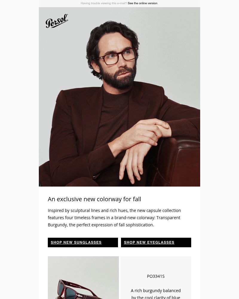 Screenshot of email with subject /media/emails/an-exclusive-new-colorway-for-fall-b976e0-cropped-a0912e4e.jpg