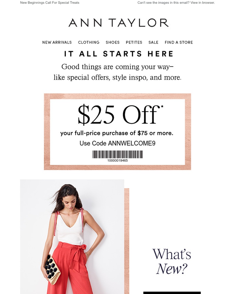 Screenshot of email sent to a Ann Taylor Newsletter subscriber
