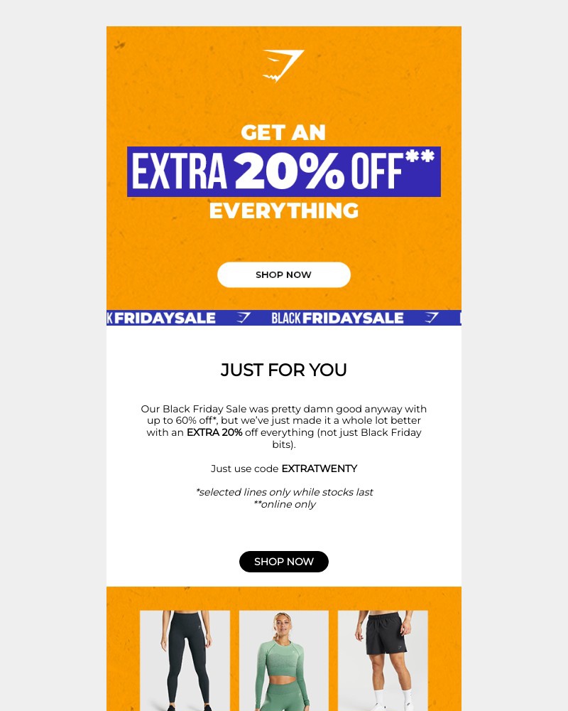 Screenshot of email with subject /media/emails/an-extra-20-off-everything-74f3d8-cropped-874ea4f5.jpg