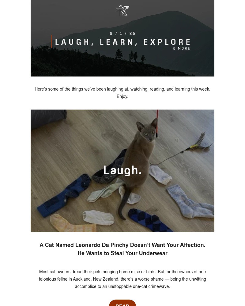 Screenshot of email with subject /media/emails/an-underwear-stealing-cat-mexicos-75b-gamble-lael-rides-around-the-world-the-best_WRSpqua.jpg
