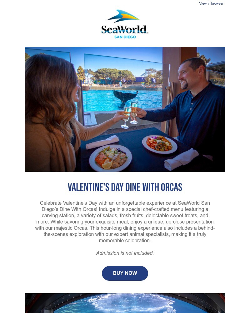 Screenshot of email sent to a Sea World Newsletter subscriber
