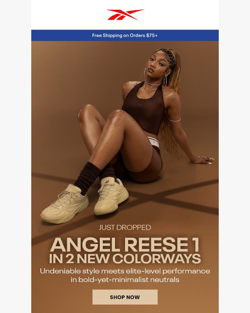 Screenshot of email with subject /media/emails/angel-reese-1-beige-grey-2b8ddb-cropped-825bf91e.jpg
