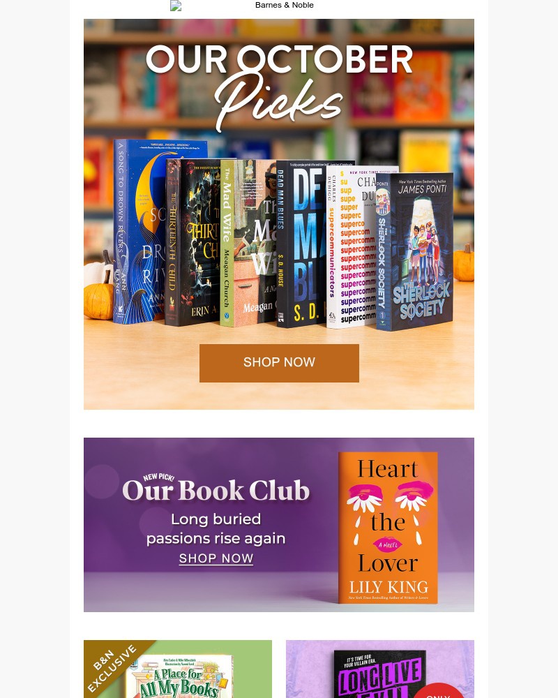 Screenshot of email with subject /media/emails/announcing-our-monthly-picks-0574cd-cropped-8c488728.jpg