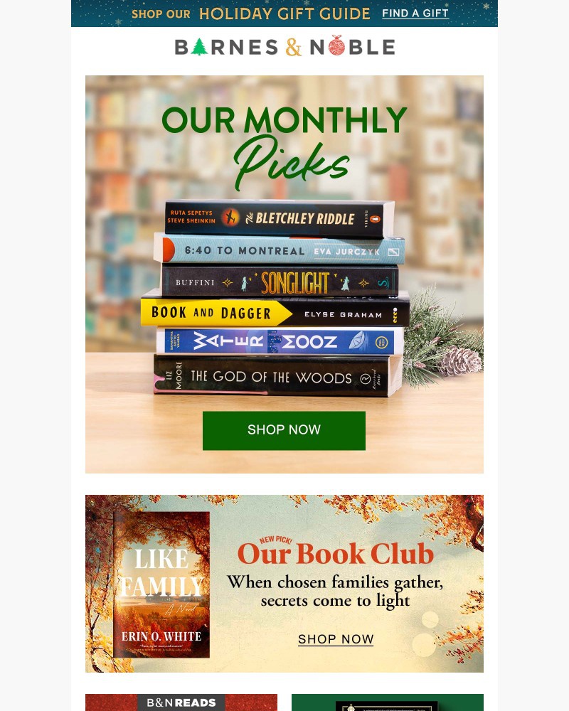 Screenshot of email with subject /media/emails/announcing-our-monthly-picks-89bafa-cropped-b1e276b3.jpg