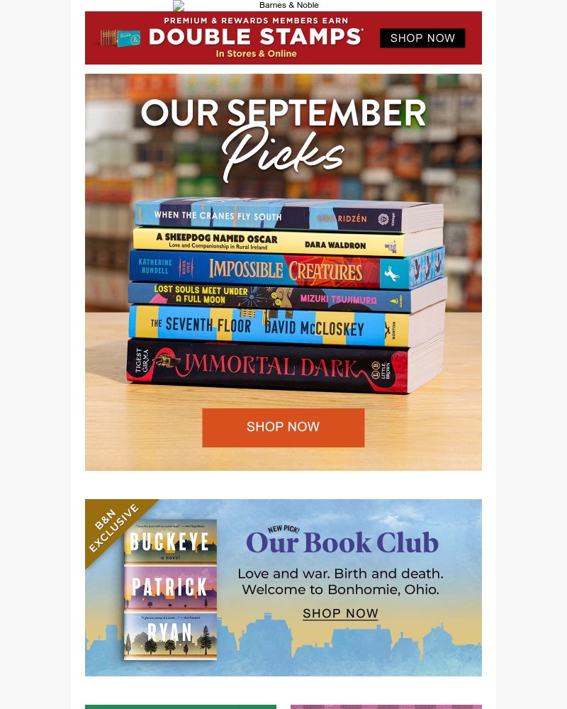 Screenshot of email with subject /media/emails/announcing-our-monthly-picks-cd27a3-cropped-f74676e7.jpg