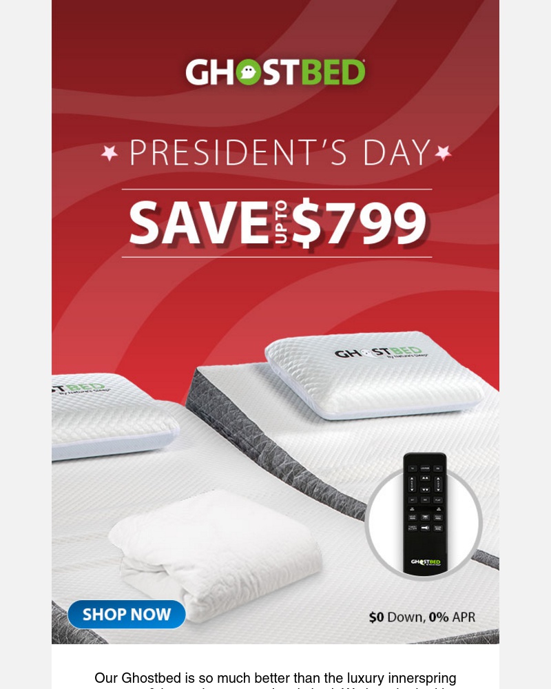 Screenshot of email with subject /media/emails/annual-presidents-day-sale-sleep-better-this-weekend-cropped-bde4b2db.jpg