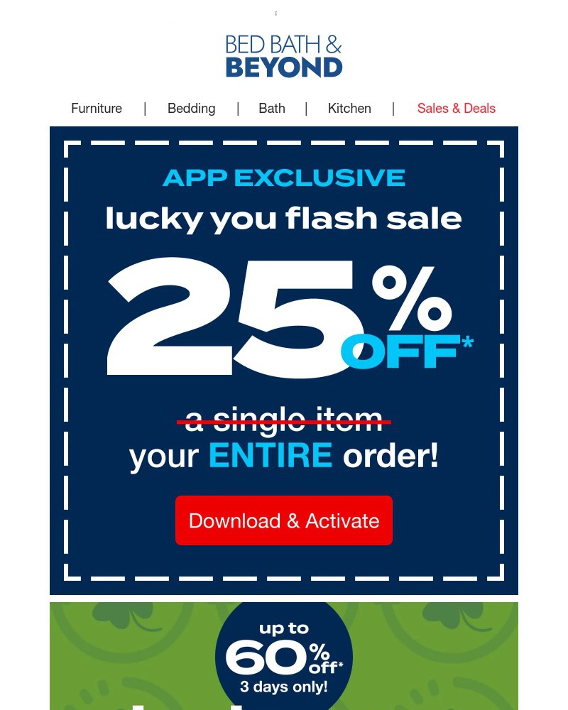 Screenshot of email with subject /media/emails/app-exclusive-25-off-coupon-574f31-cropped-8d255ee3.jpg