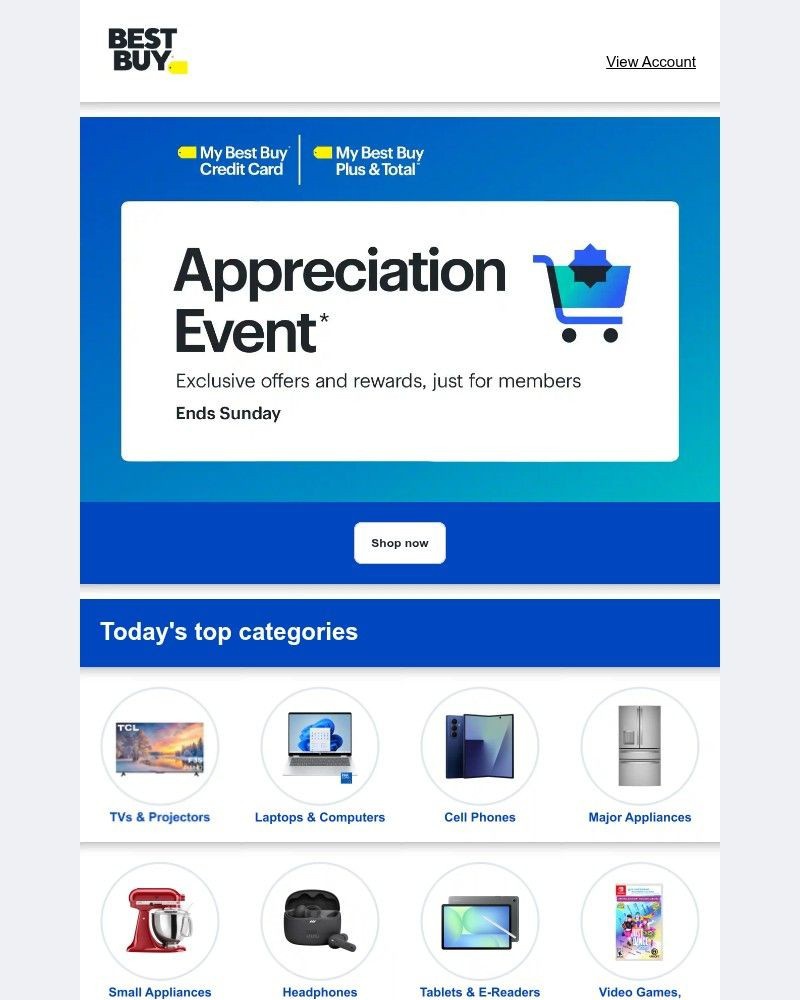 Screenshot of email sent to a Best Buy Newsletter subscriber