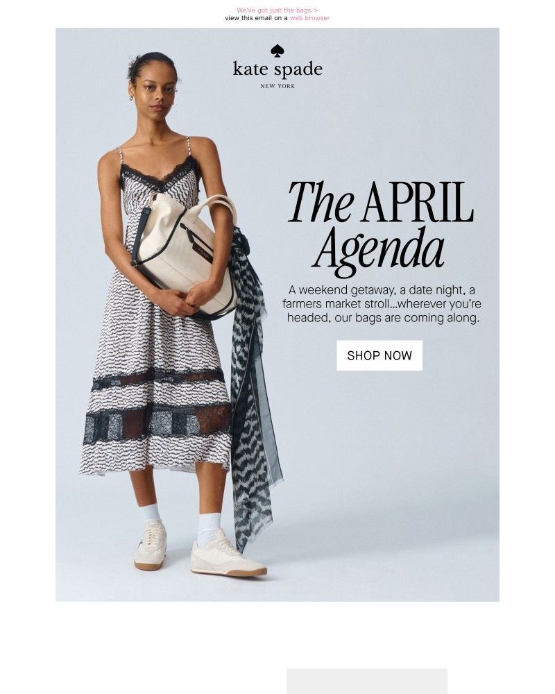 Screenshot of email sent to a Kate Spade Newsletter subscriber