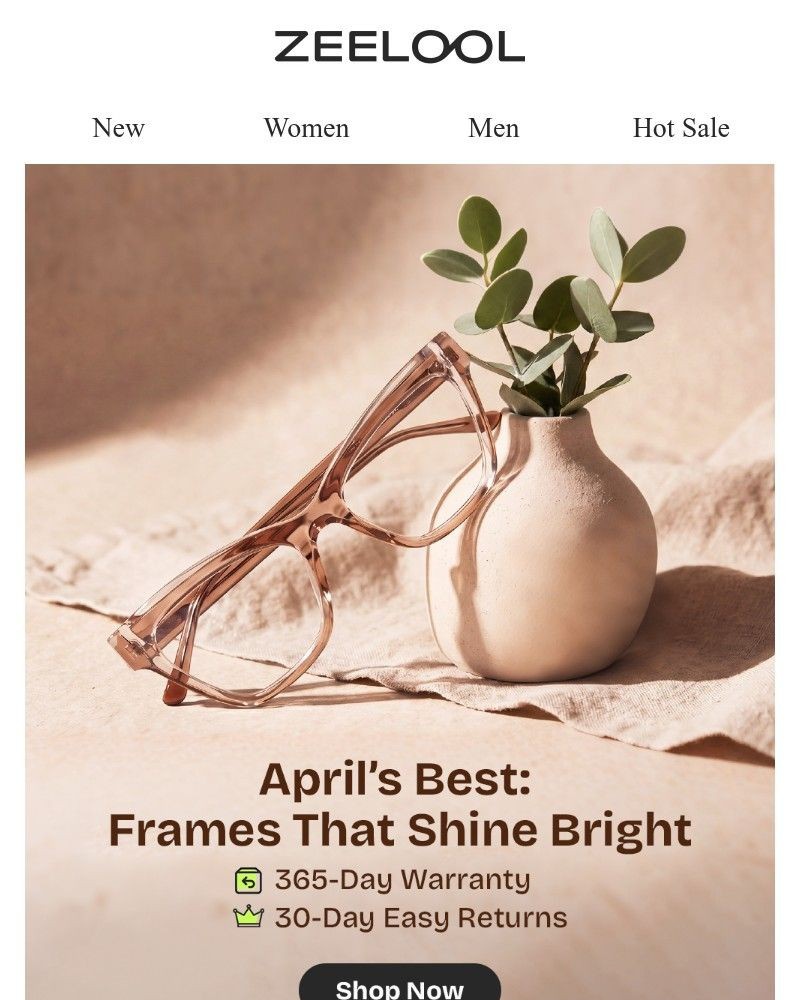 Screenshot of email sent to a Zeelool Newsletter subscriber