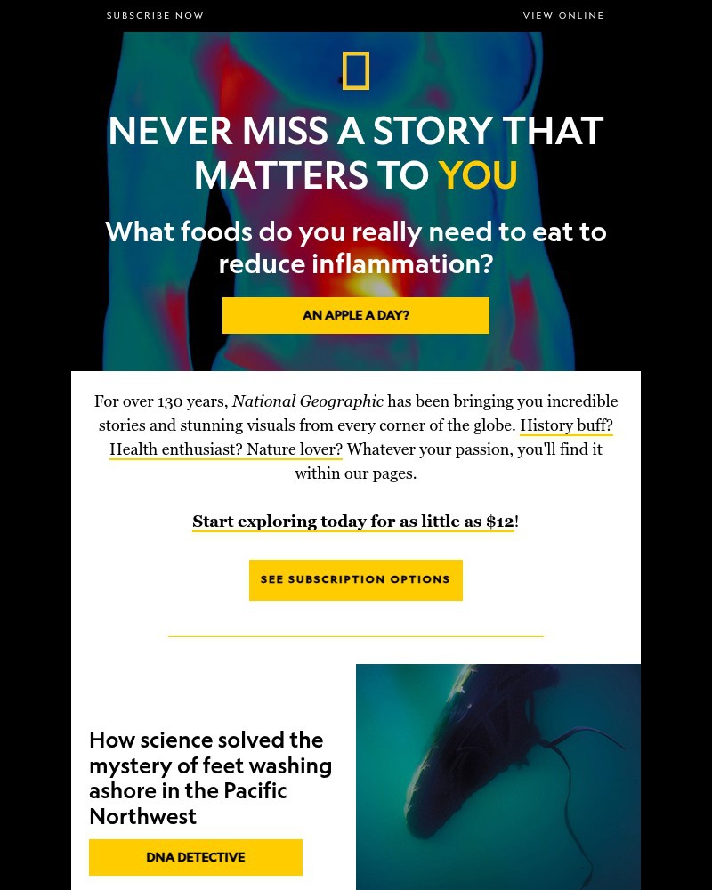 Screenshot of email with subject /media/emails/archaeology-reveals-the-real-jesus-foods-to-reduce-inflammation-severed-foot-myst_LtQKNJZ.jpg