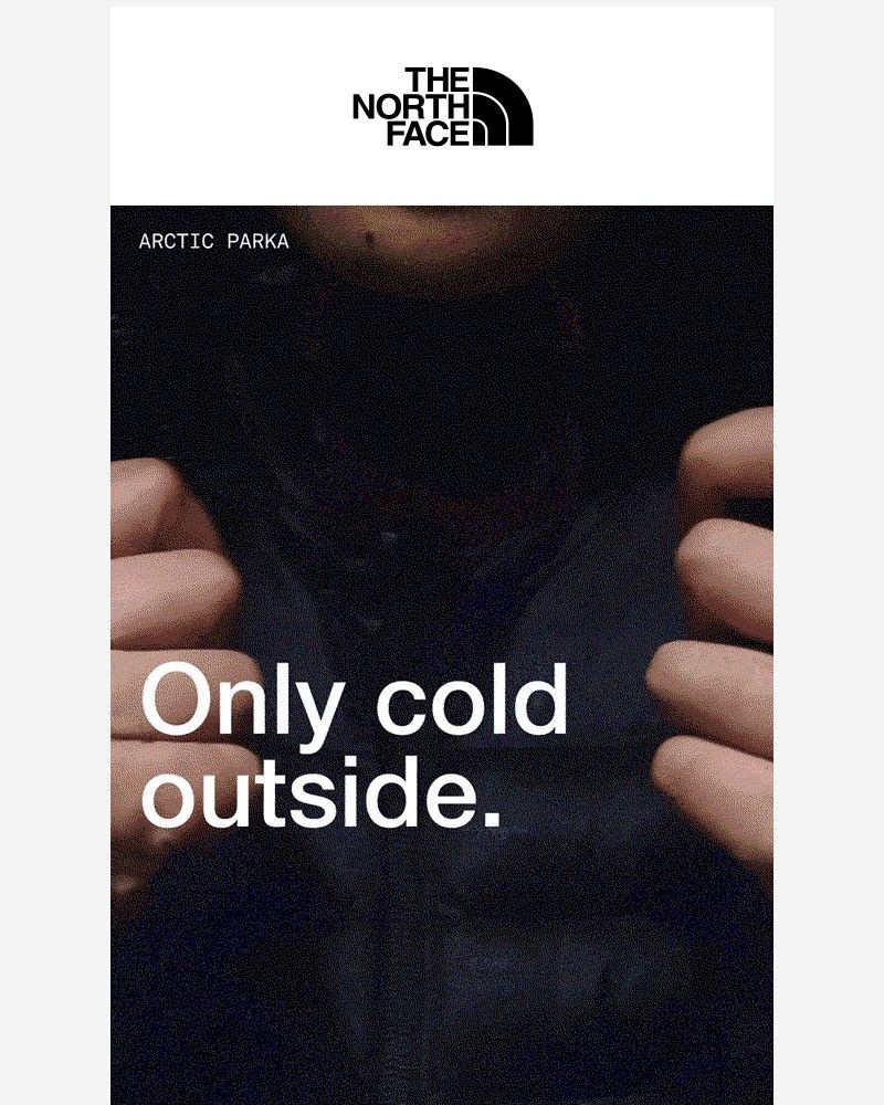 Screenshot of email sent to a The North Face Newsletter subscriber