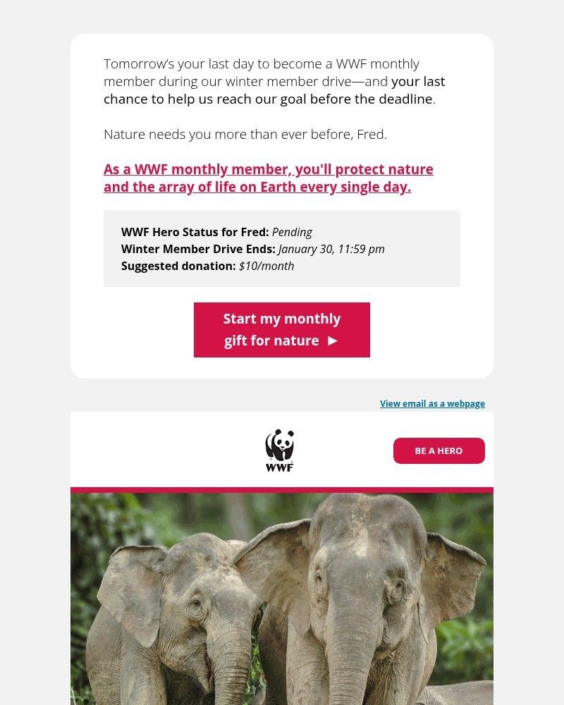 Screenshot of email with subject /media/emails/are-you-1-of-350-6c064b-cropped-f4fc4154.jpg