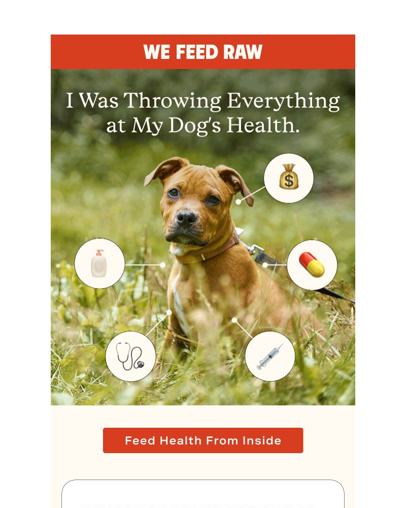 Screenshot of email sent to a We Feed Raw Newsletter subscriber