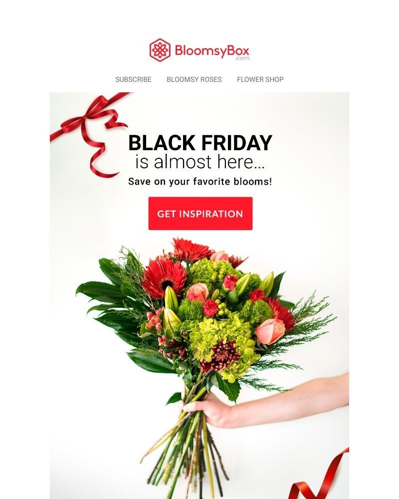 Screenshot of email with subject /media/emails/are-you-ready-for-black-friday-savings-34a565-cropped-e3d4c3a3.jpg