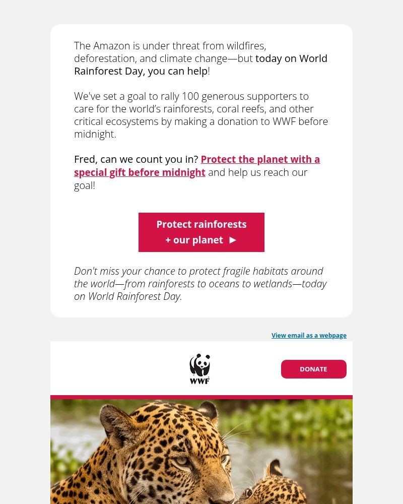 Screenshot of email with subject /media/emails/are-you-ready-to-protect-rainforests-fea40f-cropped-accf1909.jpg