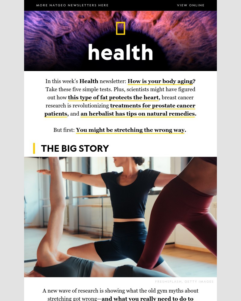 Screenshot of email with subject /media/emails/are-you-stretching-wrong-the-little-known-fat-that-might-be-good-for-you-5-tests-_1o82tSd.jpg