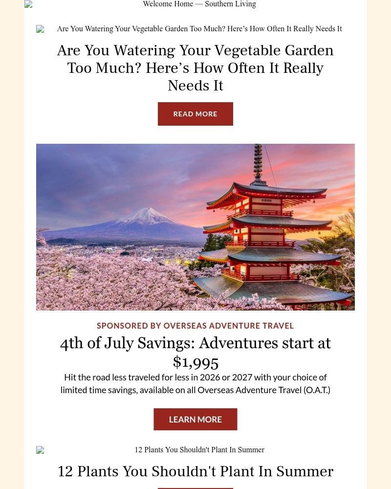 Screenshot of email with subject /media/emails/are-you-watering-your-vegetable-garden-too-much-d0a355-cropped-f45f1a29.jpg