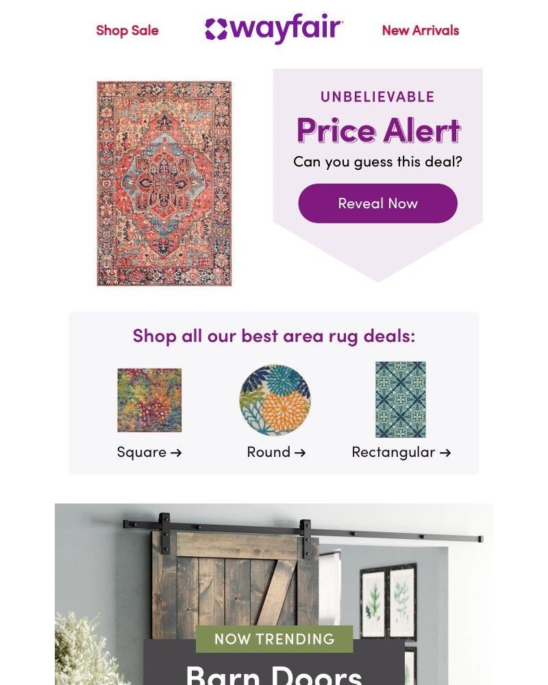 Screenshot of email with subject /media/emails/area-rugs-at-amazing-prices-3262e0-cropped-fa7c843d.jpg