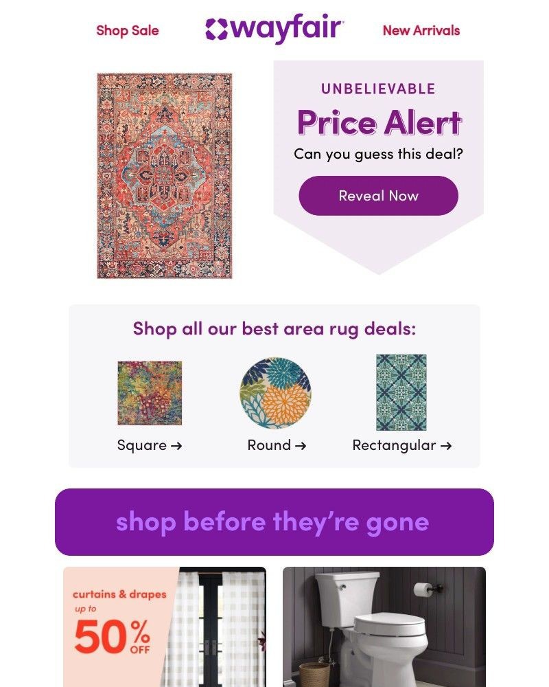 Screenshot of email with subject /media/emails/area-rugs-at-amazing-prices-c0d270-cropped-d353b271.jpg