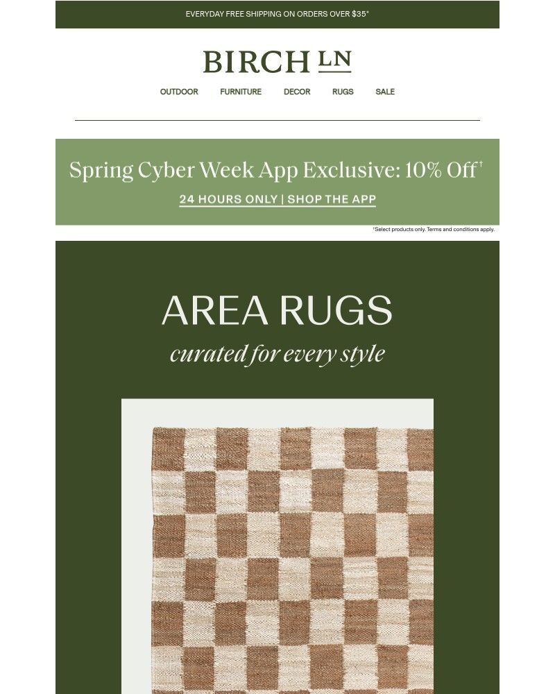 Screenshot of email with subject /media/emails/area-rugs-farmhouse-coastal-more-styles-003c80-cropped-8caf92e8.jpg