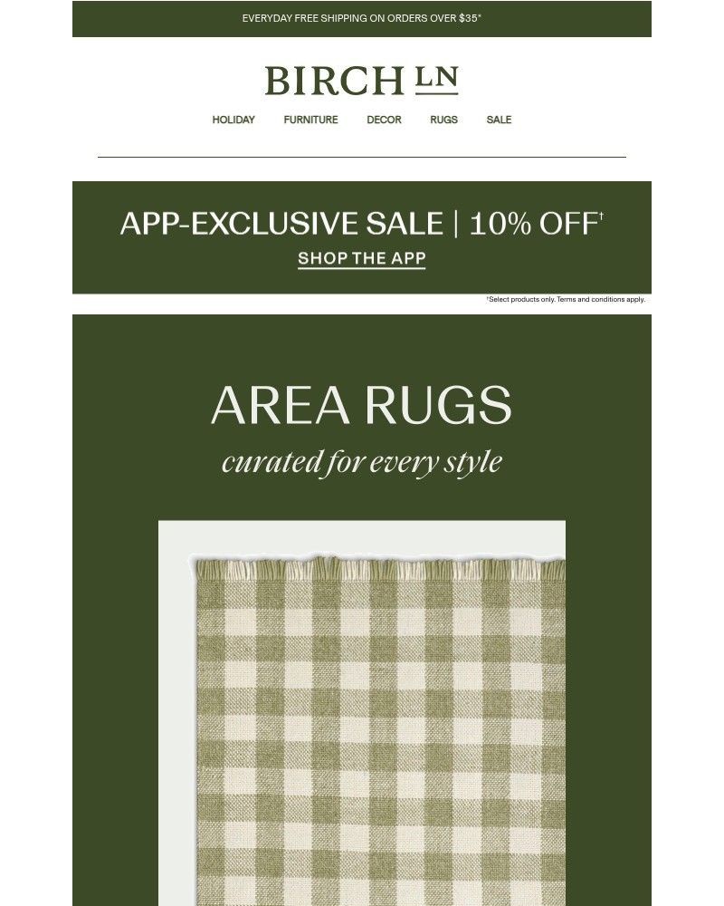 Screenshot of email with subject /media/emails/area-rugs-farmhouse-coastal-more-styles-199839-cropped-ec2ee542.jpg
