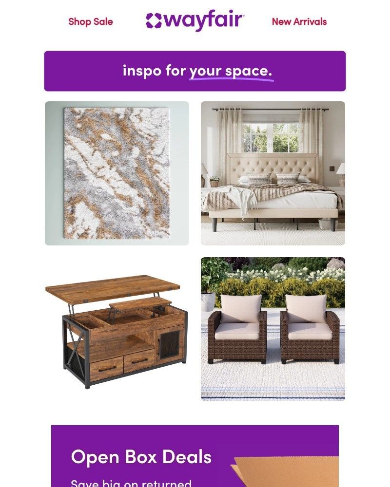 Screenshot of email with subject /media/emails/area-rugs-you-dont-want-to-miss-07cd35-cropped-deb4fb2d.jpg