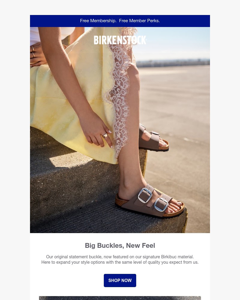 Screenshot of email with subject /media/emails/arizona-big-buckle-redefined-in-new-materials-83d0b8-cropped-bb3ca6aa.jpg