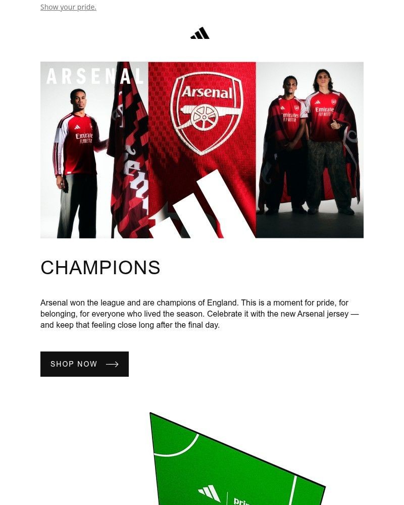 Screenshot of email sent to a Adidas Newsletter subscriber