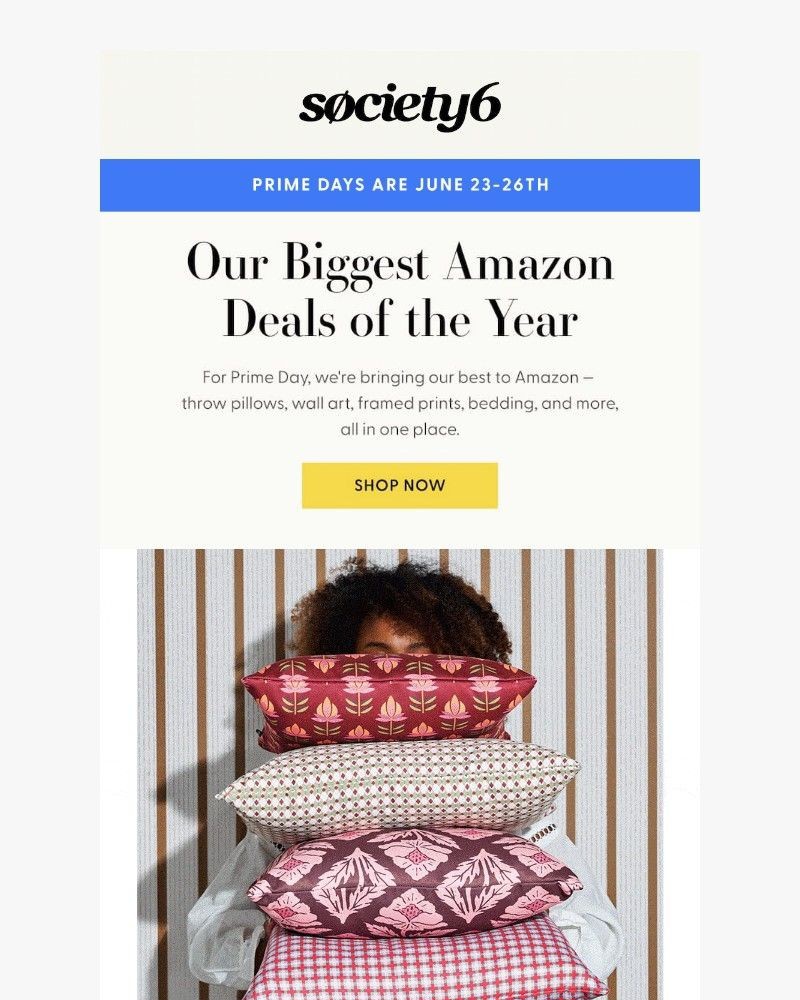Screenshot of email sent to a Society6 Newsletter subscriber