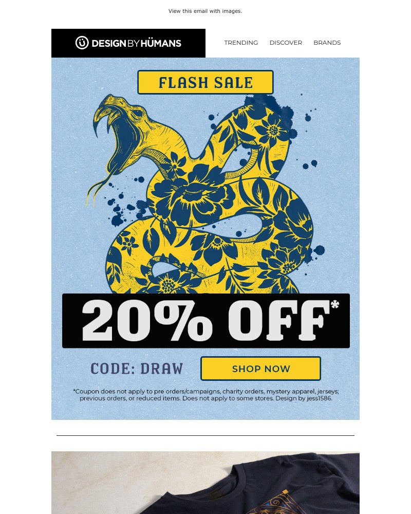 Screenshot of email with subject /media/emails/art-has-no-limits-20-off-f19d86-cropped-5a3ed41a.jpg