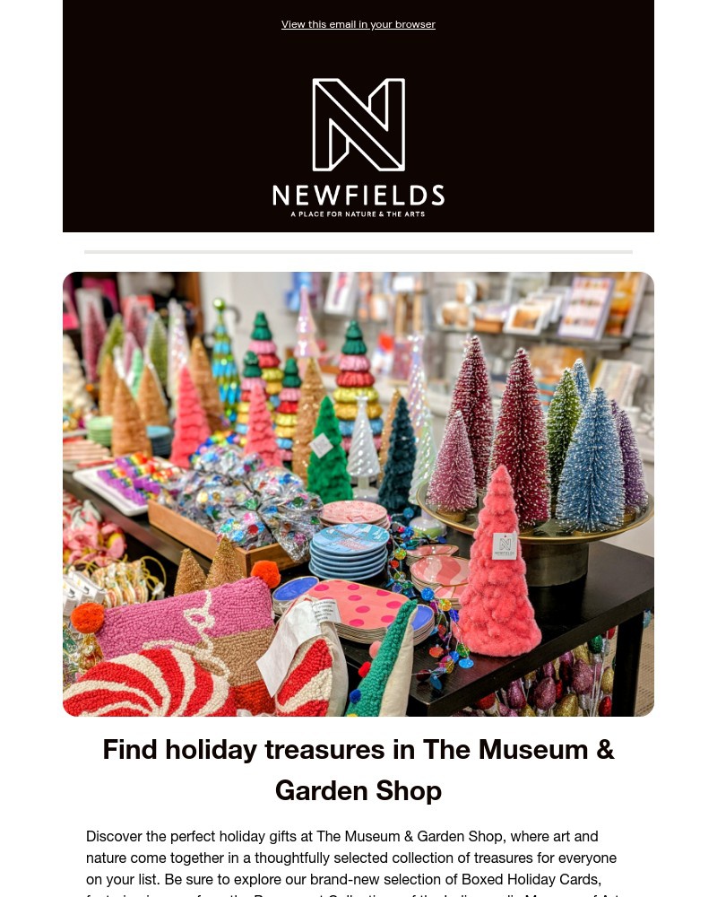 Screenshot of email with subject /media/emails/artful-holiday-gifts-for-everyone-on-your-list-afe9ae-cropped-8dec61d9.jpg