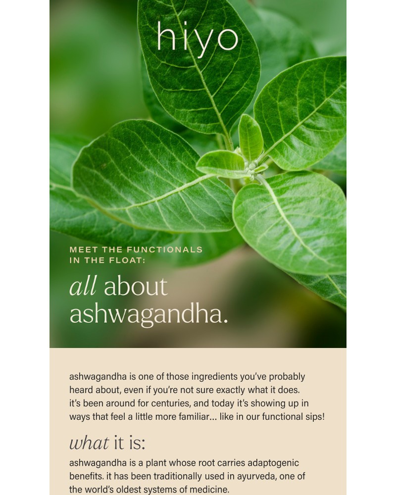 Screenshot of email sent to a hiyo Newsletter subscriber