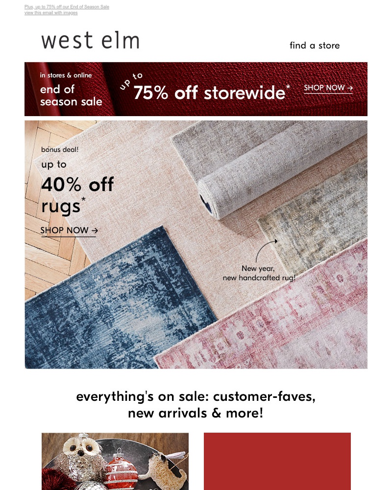 Screenshot of email with subject /media/emails/at-your-store-up-to-40-off-rugs-cropped-98dd3801.jpg