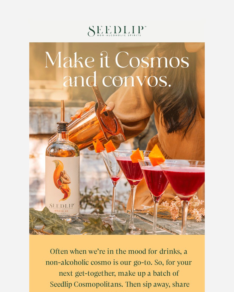 Screenshot of email sent to a Seedlip Newsletter subscriber