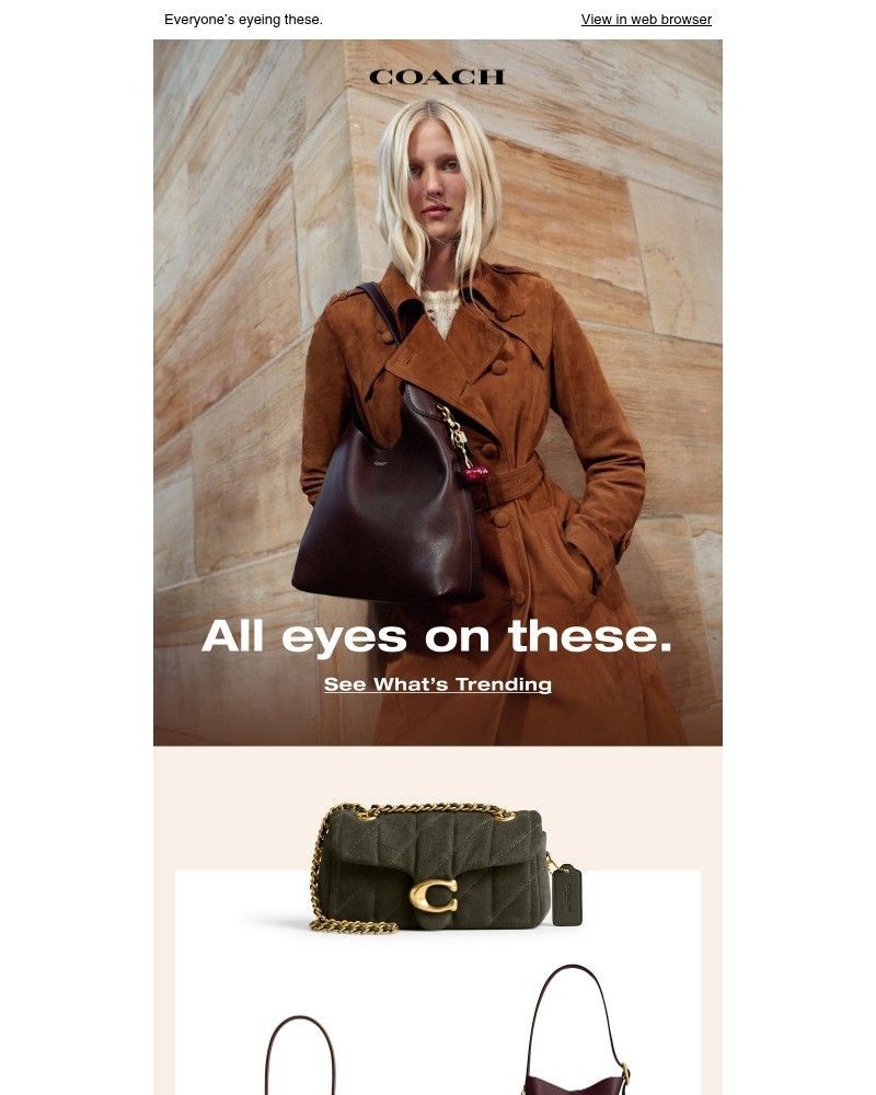 Screenshot of email with subject /media/emails/attention-grabbing-styles-316bdd-cropped-87dfb6f9.jpg