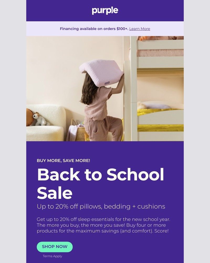 Screenshot of email with subject /media/emails/attn-our-back-to-school-sale-ends-soon-ed6115-cropped-12fde88f.jpg