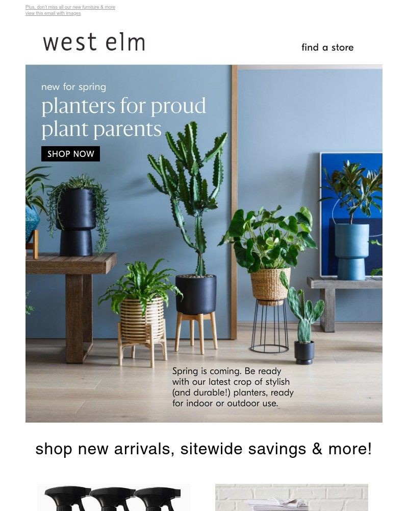 Screenshot of email with subject /media/emails/attn-plant-parents-new-planters-youll-love-ee2b49-cropped-dcae4c8a.jpg