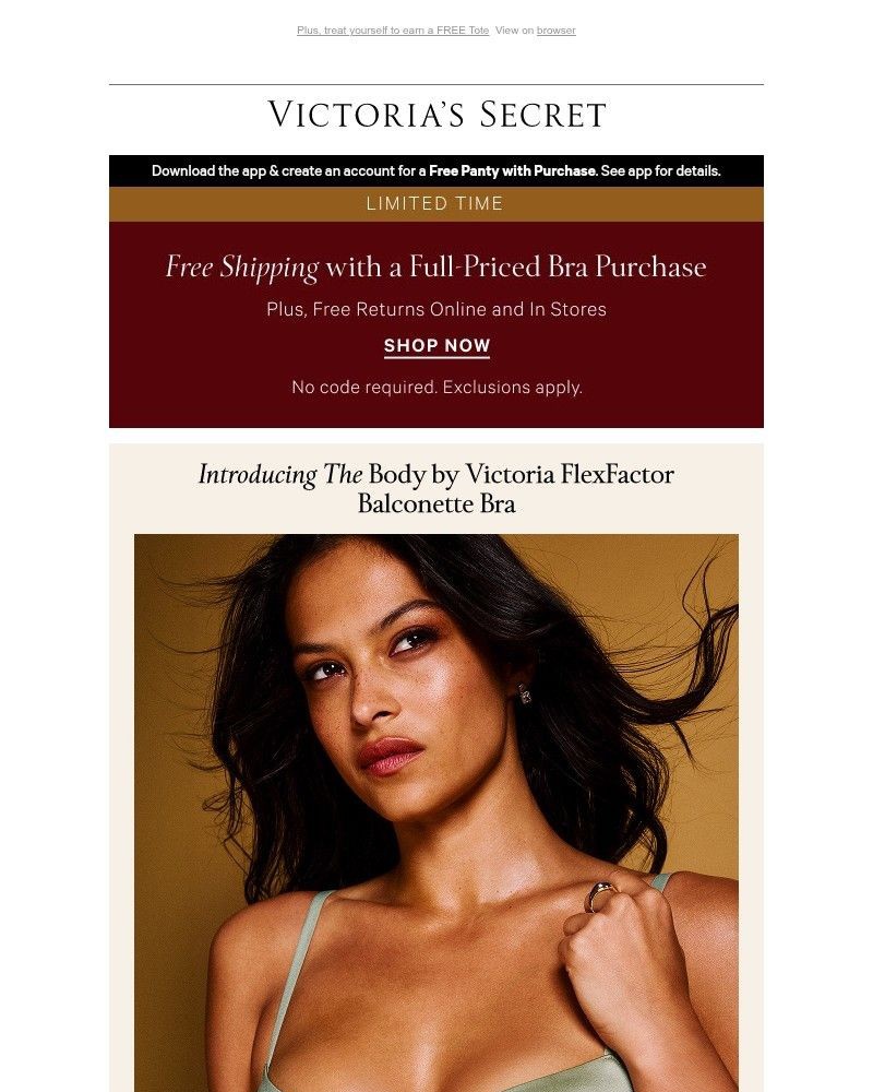 Screenshot of email with subject /media/emails/attn-we-leveld-up-our-1-bra-collection-a35af5-cropped-edd1102c.jpg