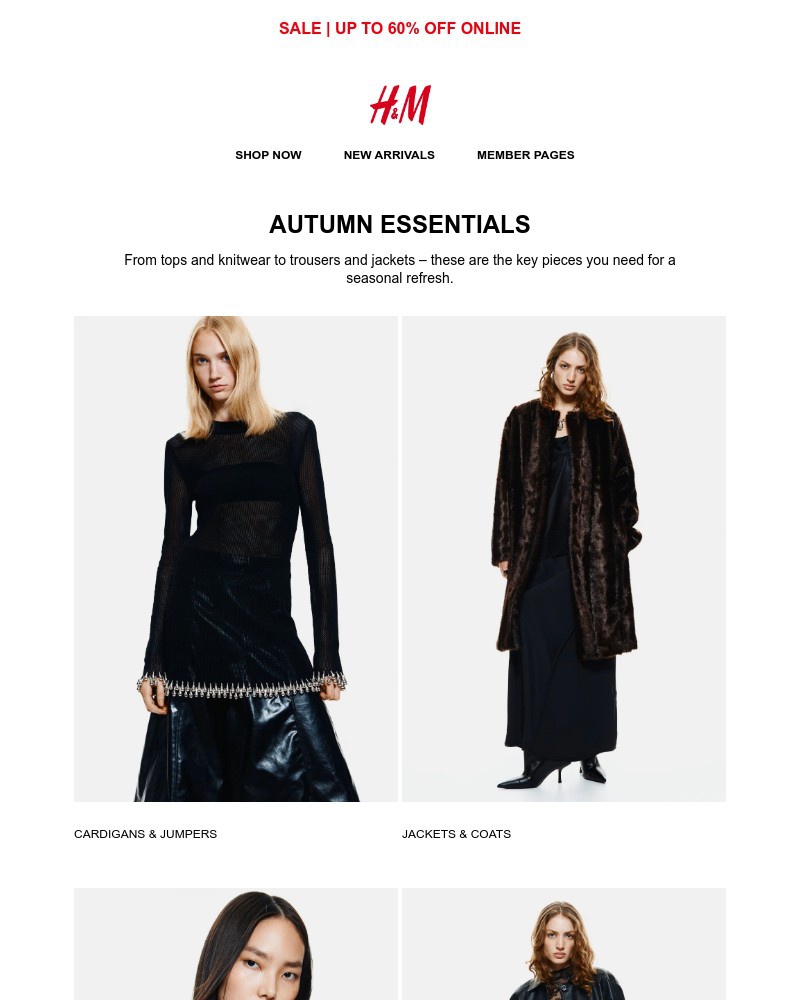 Screenshot of email with subject /media/emails/autumn-essentials-d08cb9-cropped-a60bfa6a.jpg