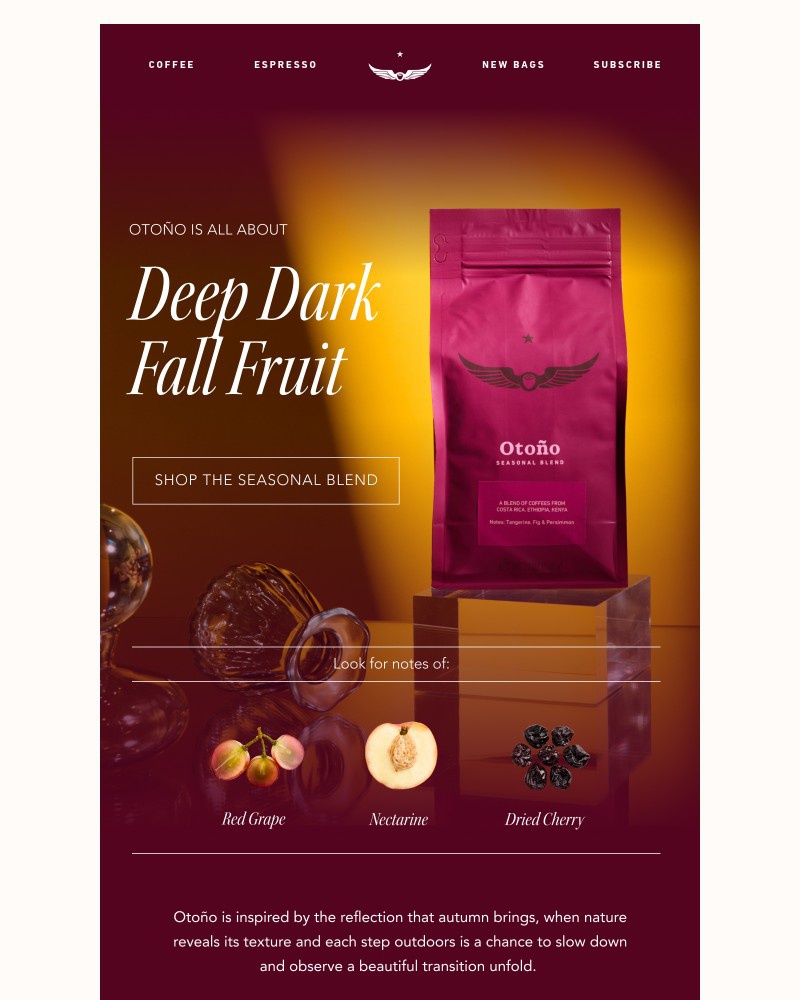 Screenshot of email with subject /media/emails/autumn-is-in-the-air-8c232f-cropped-b21e1ab6.jpg