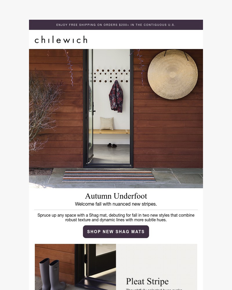 Screenshot of email with subject /media/emails/autumn-underfoot-new-shag-mats-b04ab3-cropped-8323196e.jpg