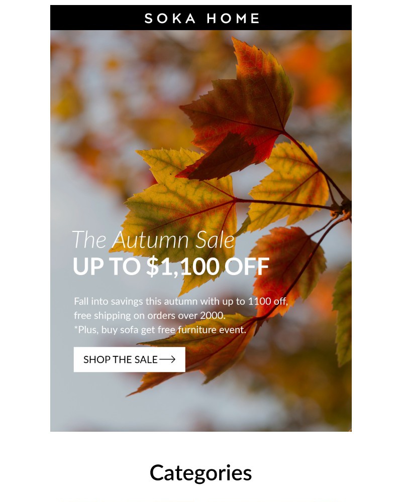 Screenshot of email with subject /media/emails/autumn-upgrade-sorted-29bdb9-cropped-d849a61b.jpg