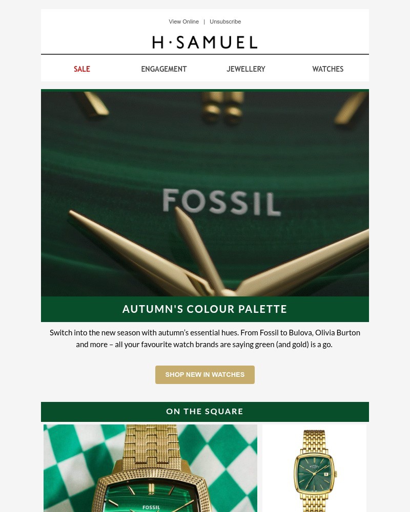 Screenshot of email with subject /media/emails/autumns-must-have-watch-colours-89a7d2-cropped-2c156eda.jpg